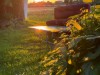 Bild 22