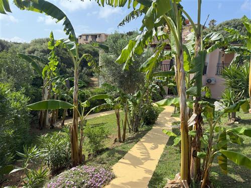 Holiday apartment - 4 persons -  - Olmedo - 07040