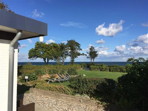 Feriehus - 6 personer -  - Am Kurgarten - 24398 - Schönhagen (Ostseebad)