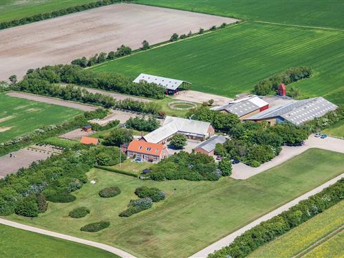 Sommerhus - 21 personer -  - I.C.Christensensvej - Hee/Stadil Fjord - 6950 - Ringkøbing