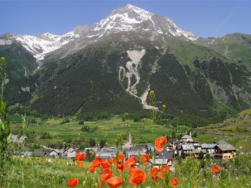 Semesterlägenhet - 4 personer -  - 73500 - Val Cenis