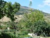 Bild 21 - Ude