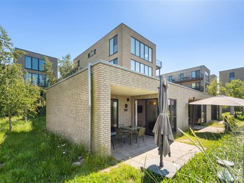 Sommerhus - 4 personer -  - Am Strand - Strandhaus - Marissa - 49459 - Lembruch/Dümmer See