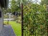 Bild 17
