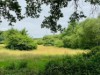 Image 27