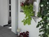 Bild 3 - Aussen