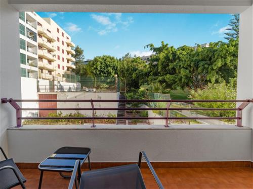 Holiday apartment - 3 persons -  - Madeira/Funchal - 9000-1161