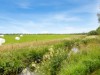 Billede 14 - Grund