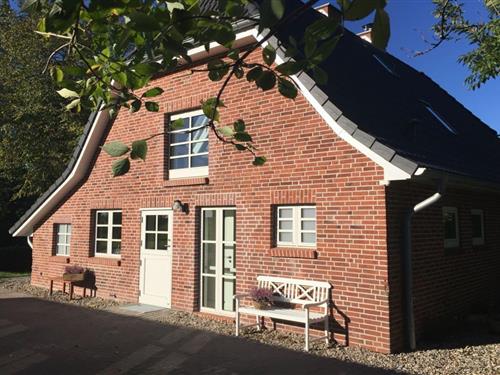 Sommerhus - 8 personer -  - 25836 - Poppenbüll