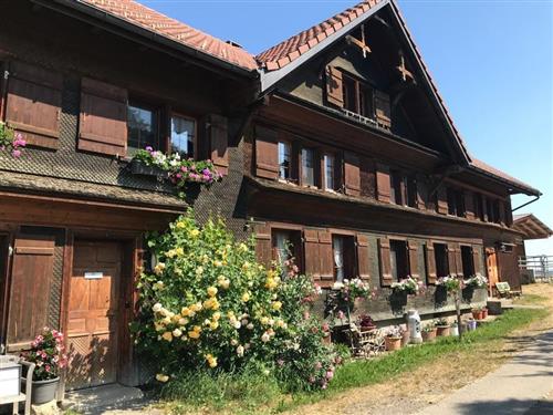 Ferielejlighed - 6 personer -  - Sal - 9606 - Bütschwil