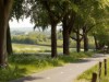 Afbeelding 23