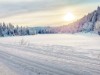Bild 31 - Aktivitet