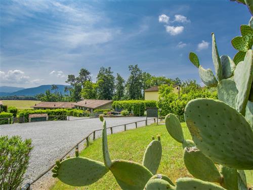 Holiday home - 4 persons -  - 55056 - Lucca