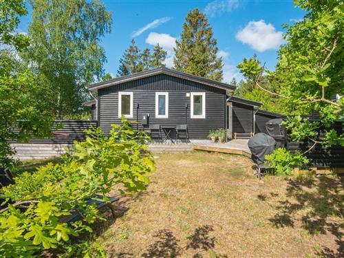 Sommerhus - 8 personer -  - Pilevej - Fuglslev - 8400 - Ebeltoft