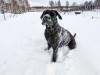 Bild 17 - Inde