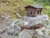 Bild 24