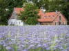 Bild 18