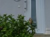 Bild 22