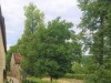 Bilde 2
