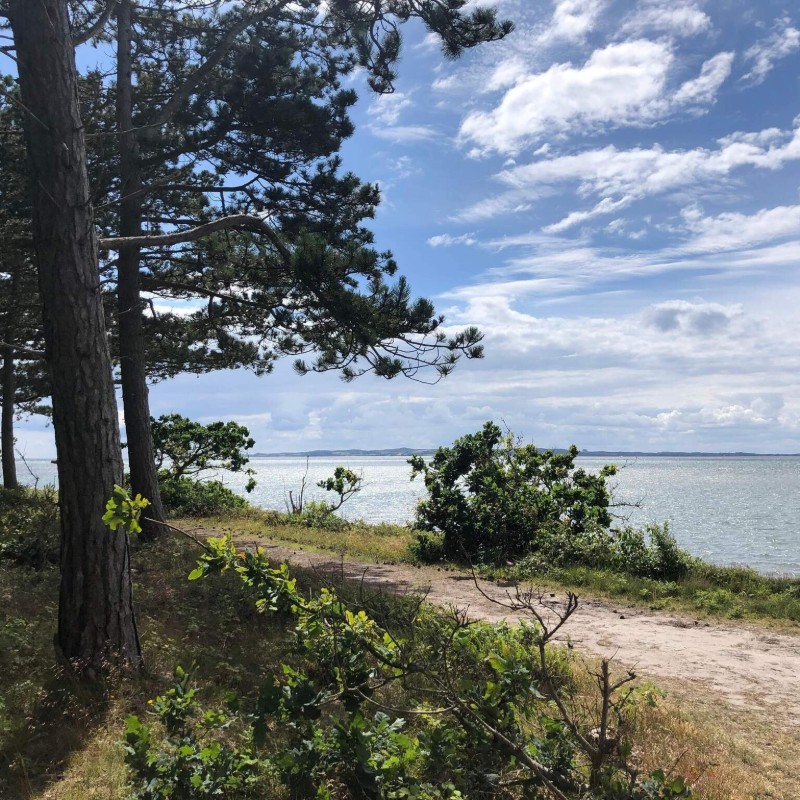 Sommerhus - 6 personer -  - Stillidsvej - Ahl Strand - 8400 - Ebeltoft