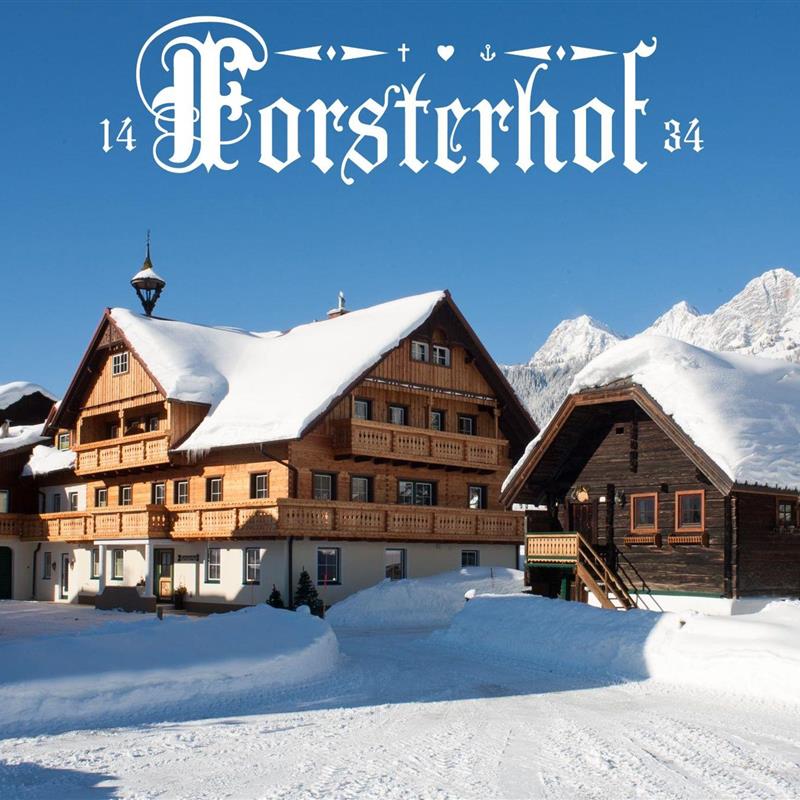 Bondegård - 6 personer -  - Ramsau - 8972 - Ramsau Am Dachstein