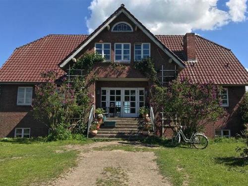 Ferienhaus - 4 Personen -  - 18334 - Semlow