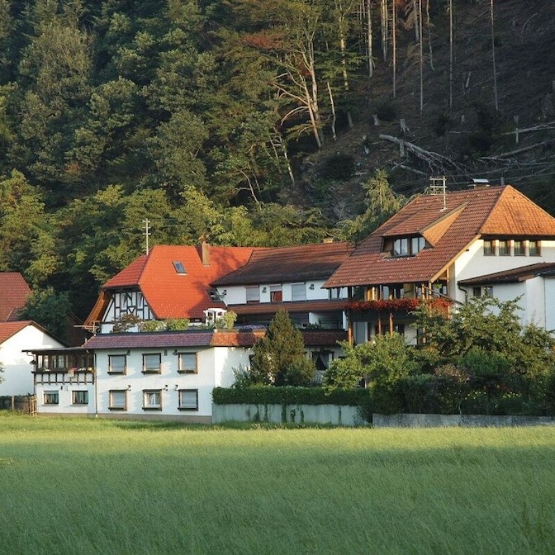 Sommerhus - 5 personer -  - 79297 - Winden Im Elztal