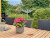 Billede 21 - Terrasse