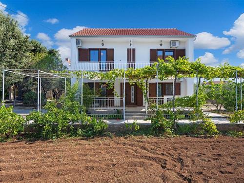 Ferieleilighet - 5 personer -  - Ulica Aleksandra Curavica - Sibenik-Brodarica - 22000 - Brodarica