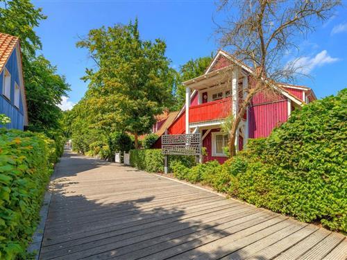 Feriehus / leilighet - 2 personer -  - Uferpromenade - 17459 - Ückeritz