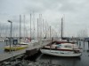 Billede 29