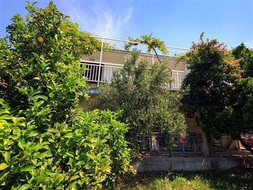 Ferielejlighed - 5 personer -  - Viganj 71A, Viganj - 20267 - Kuciste