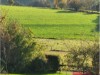 Bilde 11