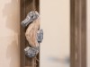 Bild 18