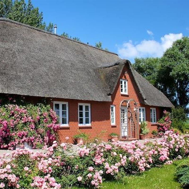 Sommerhus - 5 personer -  - Borsthusen - 25836 - Garding