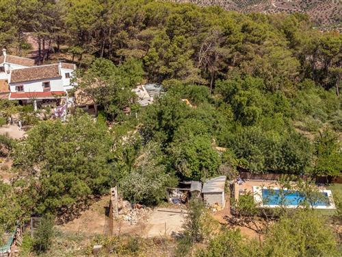 Holiday home - 10 persons -  - Huerto Margara - Cº las Minas - 11687 - El Gastor