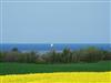 Bilde 9