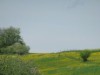 Bilde 25