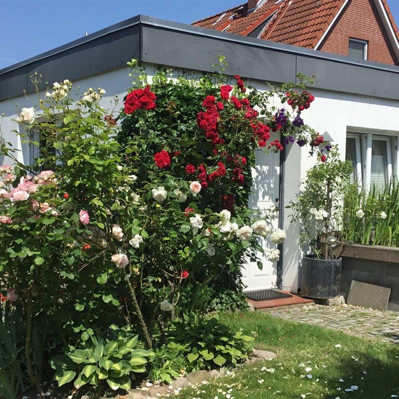 Ferielejlighed - 2 personer -  - Bödelsollstr. - 23730 - Neustadt In Holstein