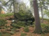 Bild 14