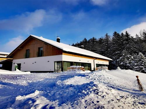 Villa - 8 personer -  - 543 44 - Cerný Dul