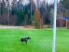 Bild 18