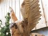 Bild 39