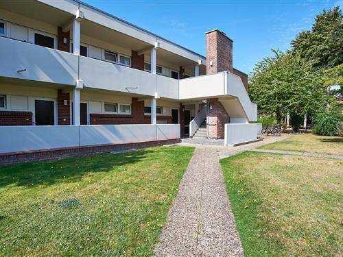 Semesterlägenhet - 2 personer -  - Museumstrasse - 25938 - Wyk