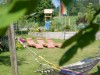 Bild 12