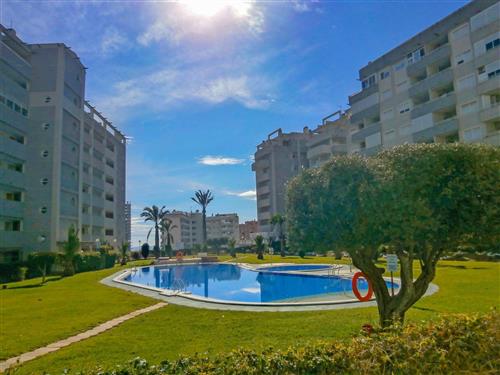 Holiday apartment - 4 persons -  - Benidorm - 03570