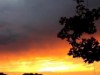 Image 41