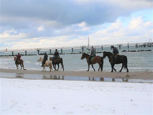 Ferienwohnung - 4 Personen -  - Am Norderfeld - 18347 - Wustrow