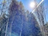 Bild 7 - Aussen