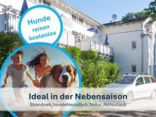 Ferielejlighed - 5 personer -  - Hinter den Tannen - 17454 - Zinnowitz